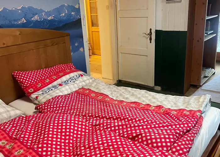 Idyllisches Hallstattnaehe Dağ evi *